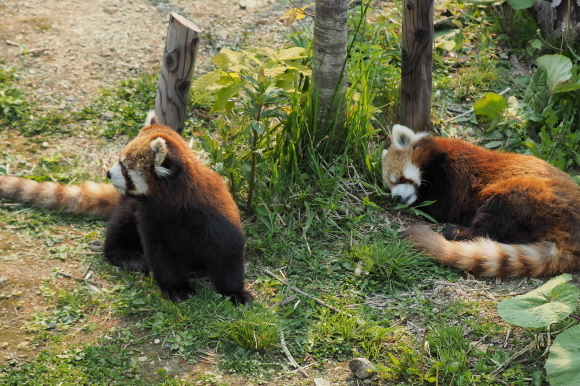 a0149740_17590869.jpg