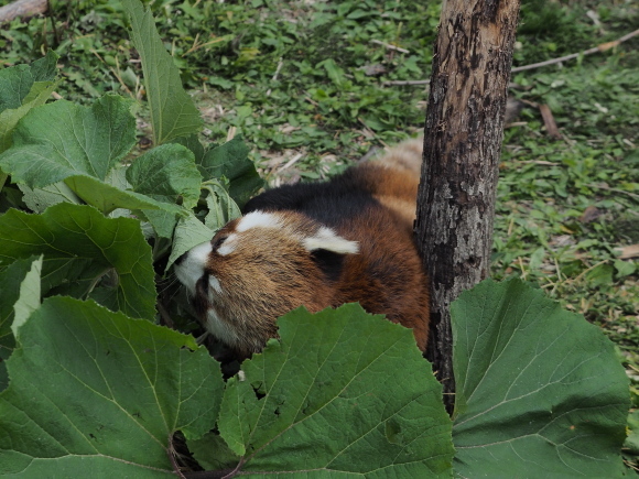 a0149740_18000436.jpg