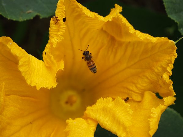 b0341140_17413679.jpg