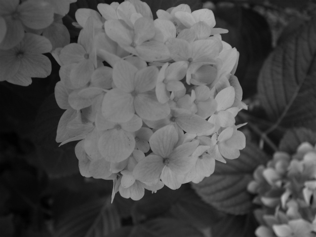 a0087341_8574718.jpg