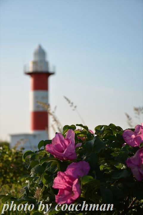 a0315942_22564676.jpg