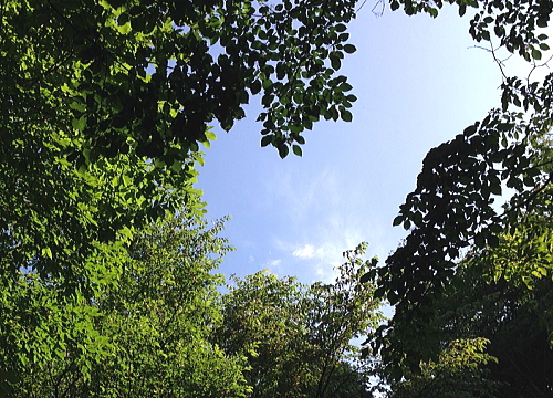 c0339546_19305264.jpg