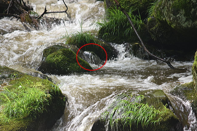 c0339546_19512013.jpg