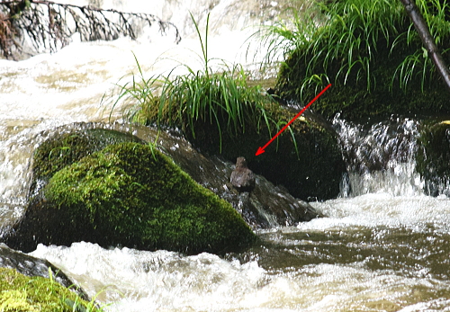 c0339546_19513432.jpg