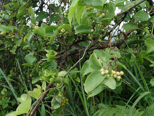 f0214649_333768.jpg