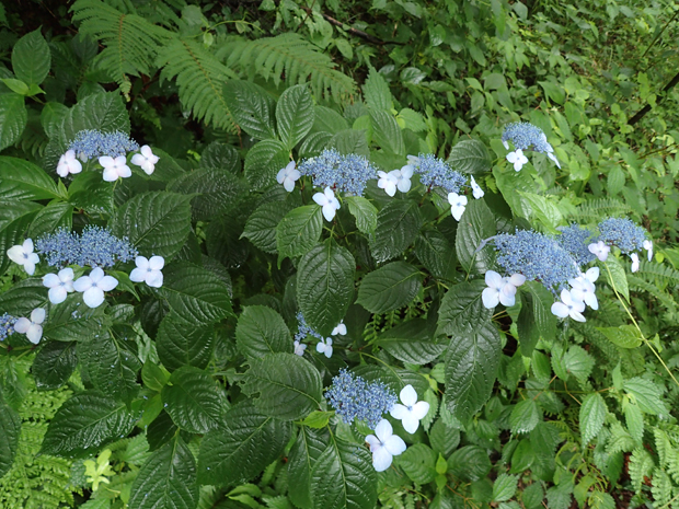 f0214649_3355897.jpg
