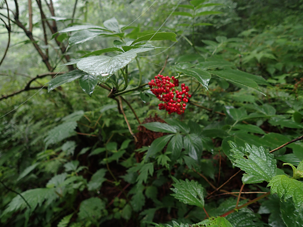 f0214649_3372591.jpg
