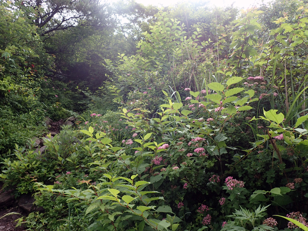 f0214649_3514271.jpg