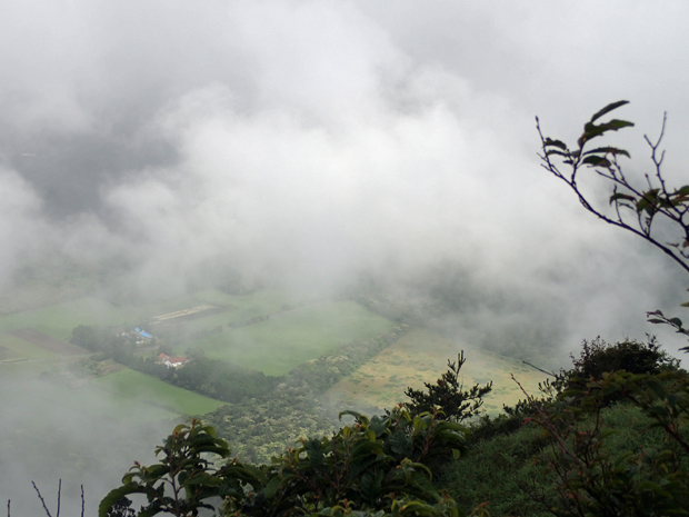 f0214649_353543.jpg