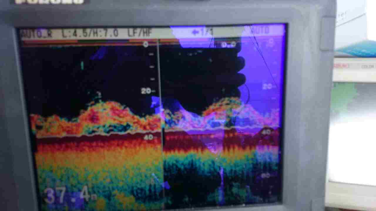 a0248152_18464962.jpg