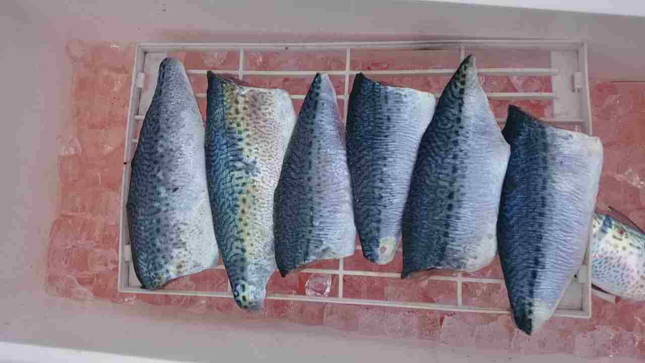 a0248152_18495235.jpg