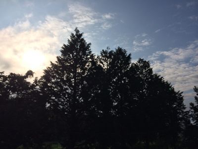 c0363753_6244283.jpg