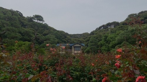 b0178557_22171642.jpg
