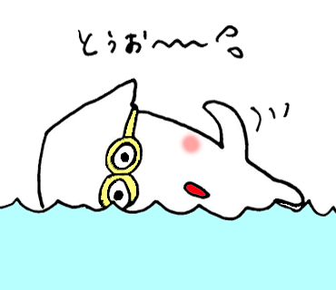 a0199262_0391311.png