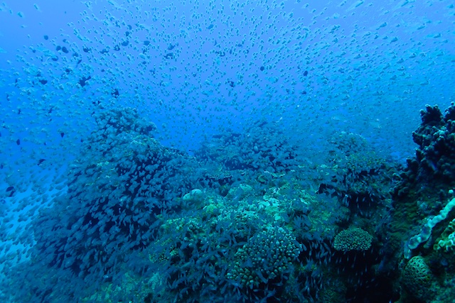 b0062363_939470.jpg