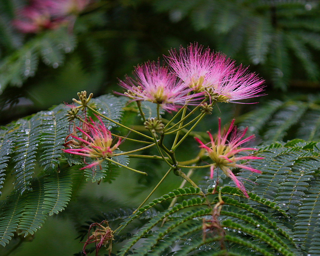 c0305565_18162374.jpg