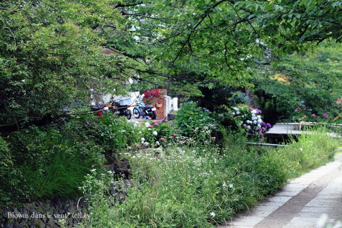 f0251765_134496.jpg
