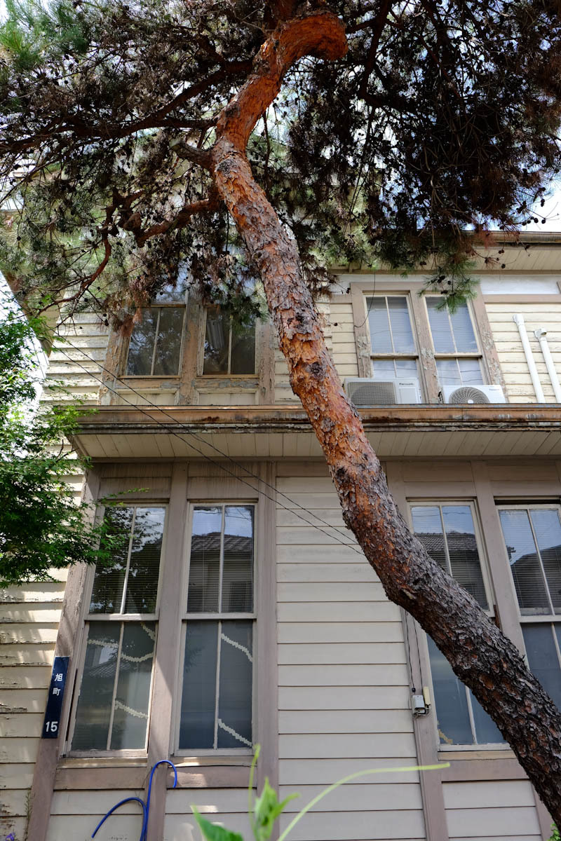 c0084666_21141123.jpg