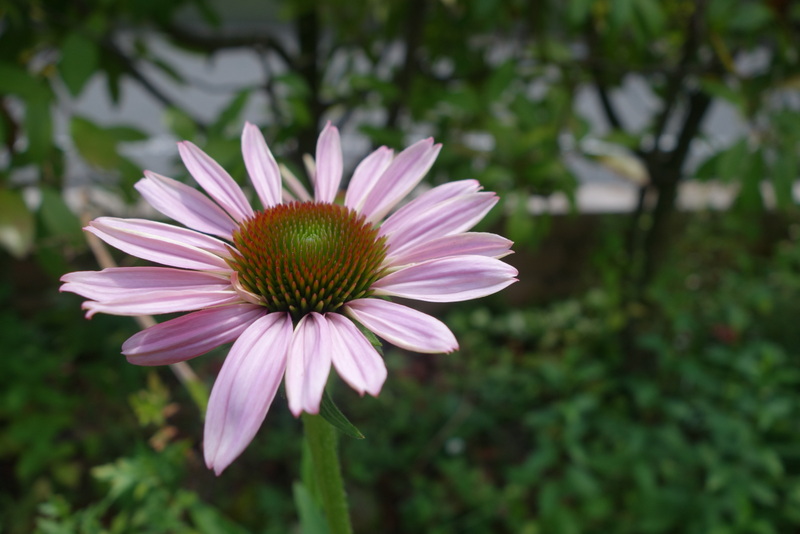 c0216472_014679.jpg