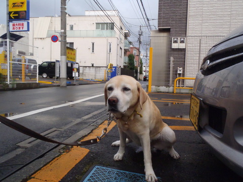 f0052277_2382994.jpg