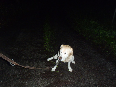 f0052277_2574340.jpg