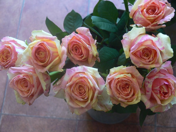 e0140986_1441979.jpg