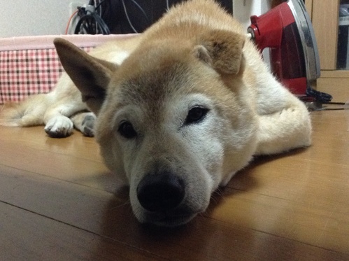 c0123890_20121.jpg