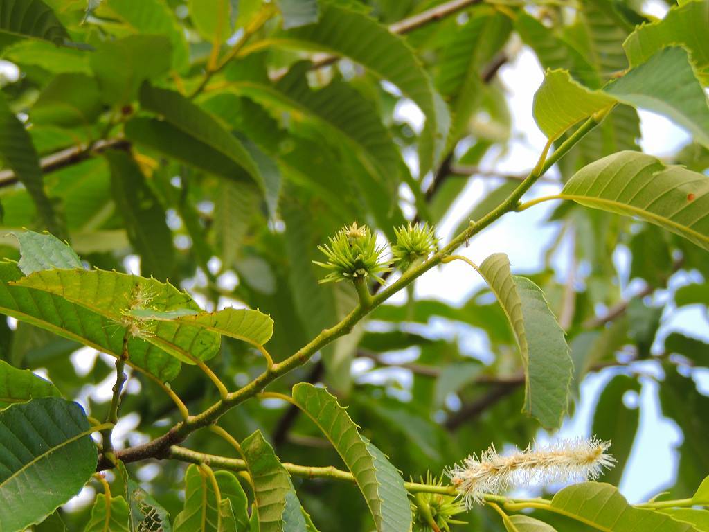 c0265095_22530013.jpg