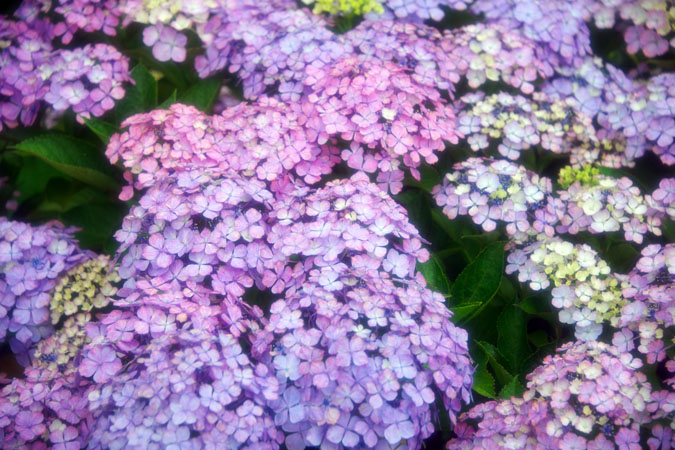 a0263109_13505257.jpg