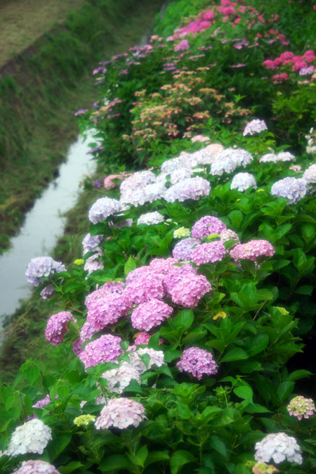 a0263109_13505722.jpg