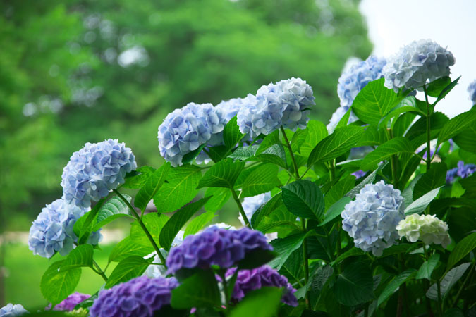 a0263109_1352585.jpg