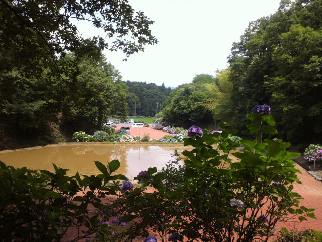 e0099212_17175260.jpg