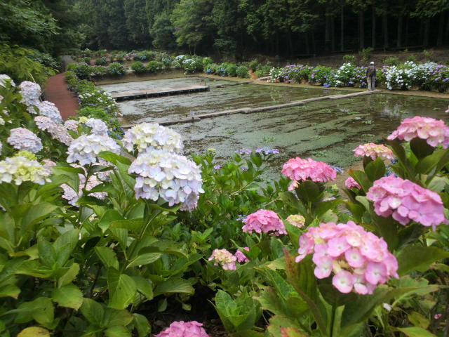 e0099212_17244328.jpg
