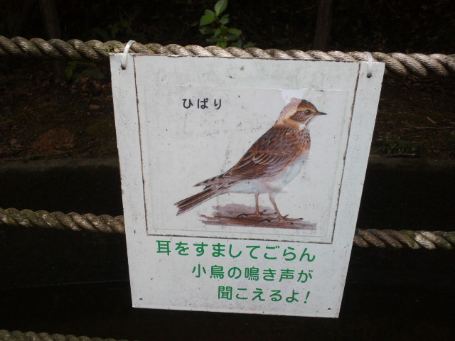 e0099212_1726770.jpg