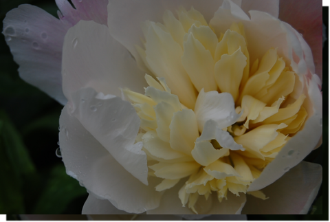 a0114514_19285511.png