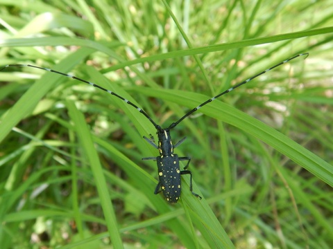 f0118332_21295276.jpg