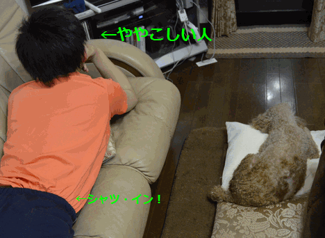 c0136736_1055467.gif