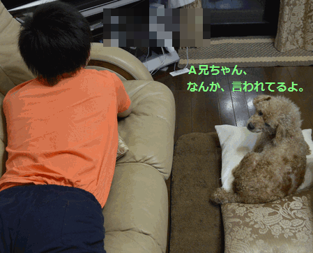 c0136736_10592310.gif