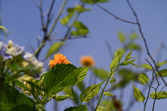 a0242438_19332512.jpg