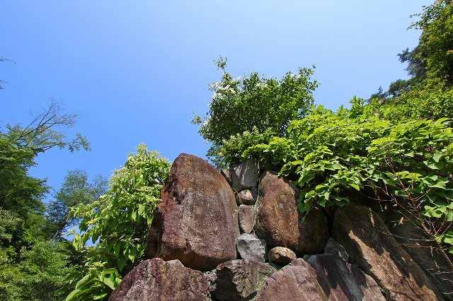 a0242438_19353258.jpg