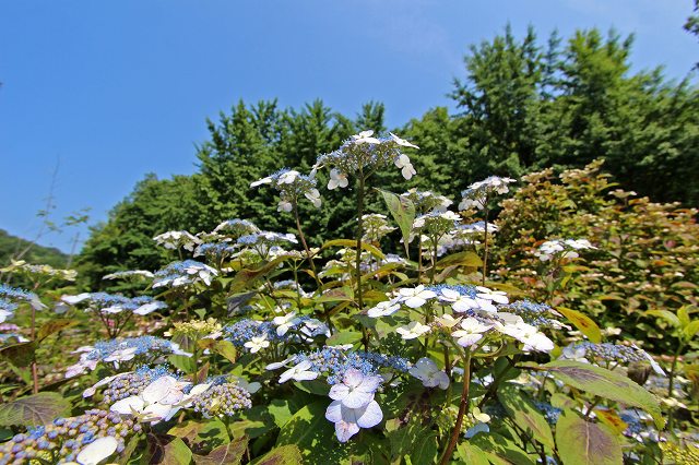 a0242438_19361641.jpg