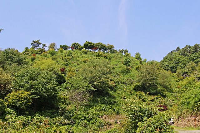 a0242438_1937811.jpg