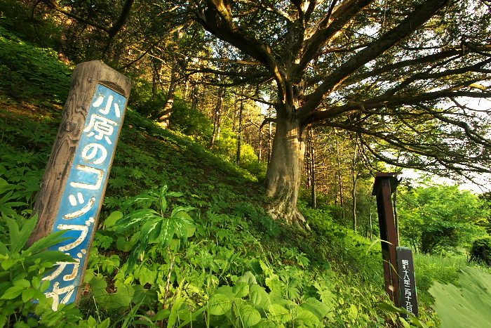 c0180845_02013782.jpg