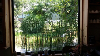 a0130451_17372236.jpg