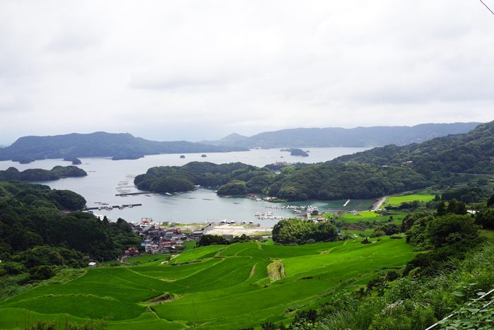 b0049152_1146535.jpg