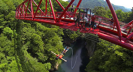 d0021258_17551215.jpg