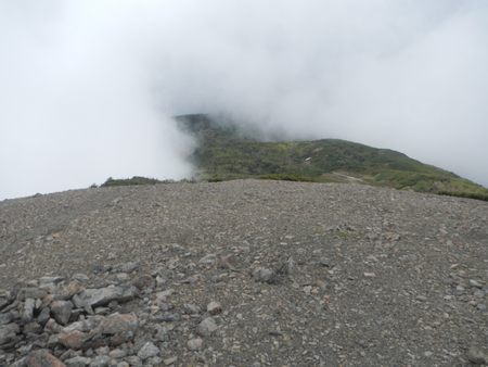 c0136760_2021589.jpg