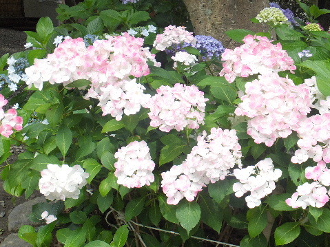 e0088260_21075613.jpg