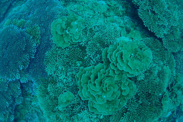 b0062363_9403720.jpg