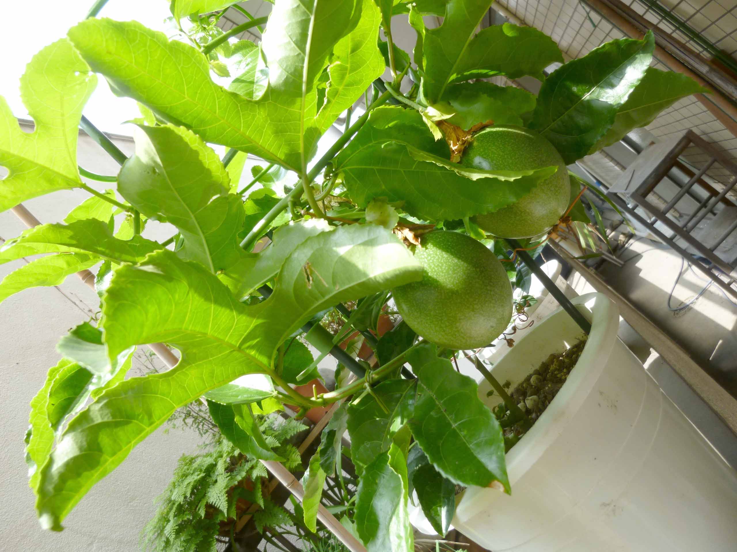 e0298866_20104334.jpg